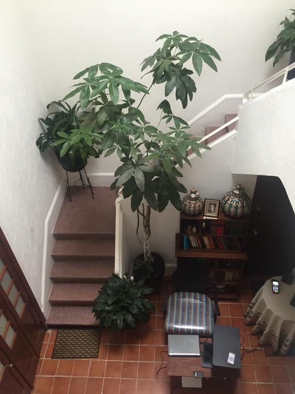 Casa Maria Elena Condesa (Adults Only) Hotel Mexico City Luaran gambar