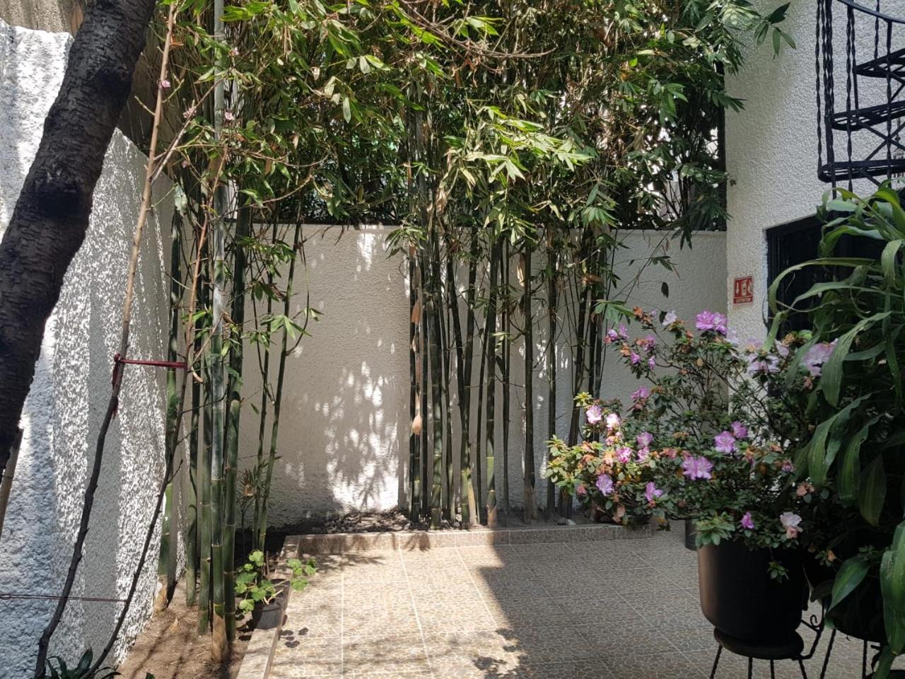 Casa Maria Elena Condesa (Adults Only) Hotel Mexico City Luaran gambar